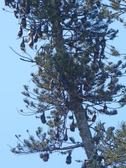 Sri Lanka MM Feb 2014-427 edited-1